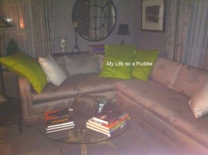 Lorraine Parish upholstery covers