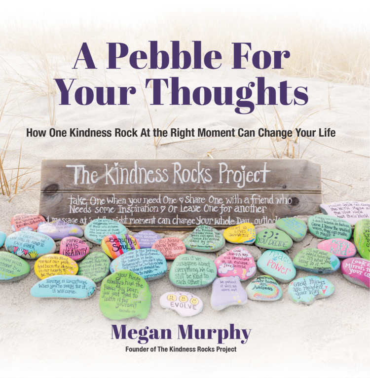A Pebble For Your Thoughts book cover